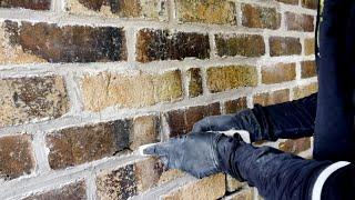 Lime mortar pointing