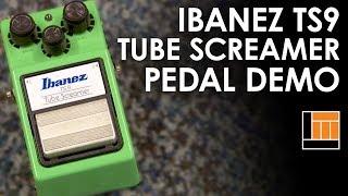 Ibanez TS9 Tube Screamer Pedal [Product Demonstration]