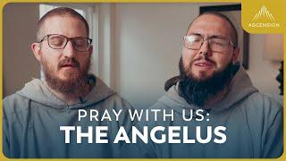 Pray with Us: The Angelus  (feat. Br. Lawrence) #assumptionofmary