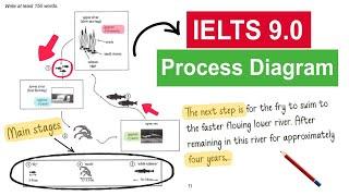 Band 9 Strategy to Answer IELTS Task 1 Process Diagram