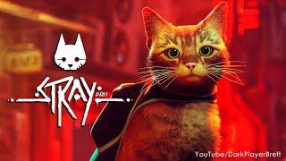 Stray - Full Game Walkthrough 100%  (Longplay) [2K 60FPS]