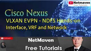 2. Nexus VXLAN EVPN NDFC Hands-on - Interface, VRF and Network