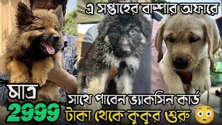 2999 টাকায় ভ্যাকসিন সহ কুকুর | Serampore Pet Market | Serampore Dog Market | Kolkata Dog Market