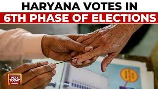 Lok Sabha 6th Phase Elections Heat Up In Haryana; Leaders Cast Votes | India Today News