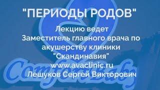  ПЕРИОДЫ РОДОВ