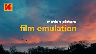 Hollywood's Best Kept Secret for Motion Picture Film Emulation