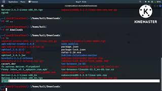 How to install and configure ngrok  in Kali Linux