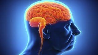 ¿Qué ocurre en el cerebro de un adicto?