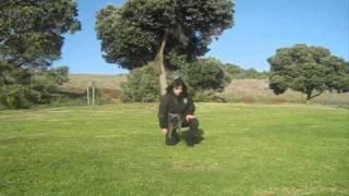 Korean NINJUTSU (3 basic rolls)