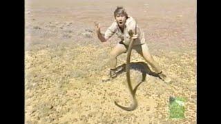 Crocodile Hunter episode w commercials - Journey to the Red Center