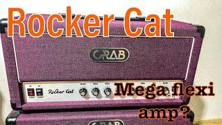 Rocker Cat. mega flexi amp?