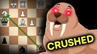 WALRUS GAMBIT Obliterates IM in 14 Moves!!