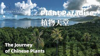 The Journey of Chinese Plants Plant paradise | 1080P |