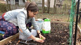 Early Spring Planting | Gardening Vlog