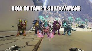 HOW TO TAME SHADOWMANES (NET META)