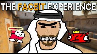 THE WORST FACEIT EXPERIENCE! (Ft. Anomaly & Raad)