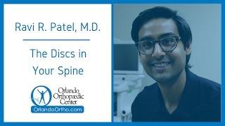 The Discs in Your Spine | Ravi R. Patel, M.D.