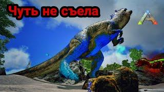 Приручил ГИГАНОТОЗАВРА в ARK Mobile | Rizvan PVX PVP