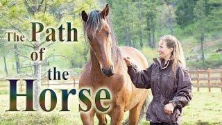 The Path of the Horse - Full Length documentary