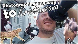 Photography roadtrip to Dyreparken i Kristiansand | Nikon d850 | vlogging with my phone