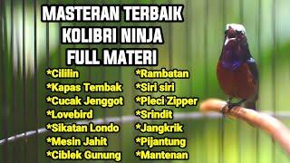 MASTERAN TERBAIK SEPANJANG MASA KOLIBRI NINJA GACOR FULL MATERI TEMBAKAN TAJAM JERNIH 100% GACOR