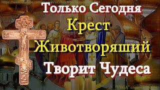 Молитва Воздвижению Честнаго и Животворящего Креста Господня.  Молитвы  кресту одни из самых сильных