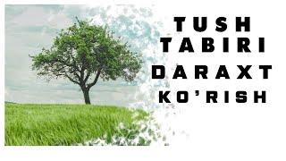 Tushda Daraxt Ko'rish Tabiri