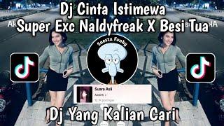 DJ CINTAKU ISTIMEWA SUPER EXC NALDYFREAK X BESI TUA VIRAL TIKTOK 2024 YANG KALIAN CARI !!