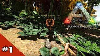 Prima Confruntare | Ark Survival Evolved Romania | Ep.1