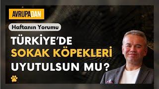 Türkiye'de sokak köpekleri uyutulsun mu? - Haftanın Yorumu 39. Bölüm Oktan Erdikmen