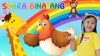 ANIMAL VOICE SONG | Kindergarten Nursery Rhymes & Kids Songs
