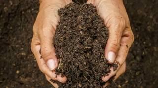 Soil Pollution | Macmillan Education India