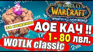 Быстрая АоЕ прокачка 1-80 в World Of Warcraft за мага WOTLK Classic AOE spots. #wotlk #wowclassic