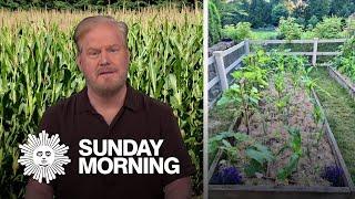 Jim Gaffigan's green thumb fails