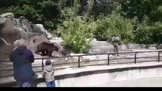 Drunk man fights with big bear in Zoo * drastic *  NEW 2023