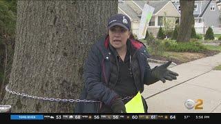 Woman chains herself to 80-year-old tree to prevent village from taking it down