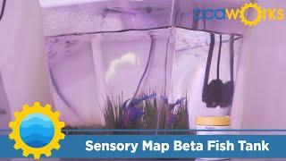 AgWorks Sensory Map Beta Fish Tank | 4K