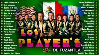 Los Players De Tuzantla Mix 2024  Puro Tierra Caliente Mix 2024   Rancheras y Corridos