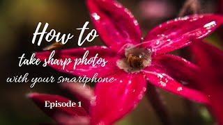 Episode 1: Tips to up your mobile photography game | How-to take sharp photos with your smartphone