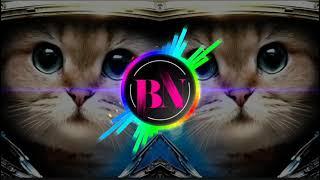 Cat song ~ Gyurza, LIRANOV | Tiktok Trending | (EXTREME) BASS BOOSTED Music