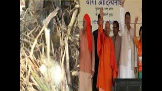 UP govt presents updated data of payments made to sugarcane farmers