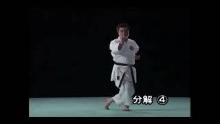 Heian/Pinan yondan kata bunkai kumite Shito-ryu karate