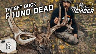 Kaleb's Monster Buck Chase Ends, Bucks Grunting & Chasing In October #hunting #deerhunting