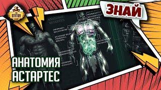 Вся правда об анатомии Астартес! | Знай | Warhammer 40000