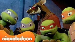 TMNT: Teenage Mutant Ninja Turtles | TMNT (2012) - Die ersten 8 Folgen! | Nickelodeon Deutschland