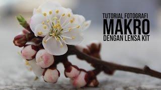 Tutorial Foto Makro dengan Lensa Kit