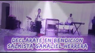 Declaro mi Bendicion ( Audio Oficial ) Salmista y Evangelista Gamaliel Herrera