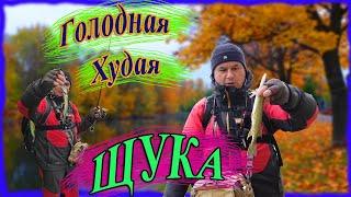 Голодная худая щука. Микроджиг на городских прудах