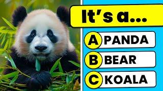 General Knowledge Quiz - Animals Edition  | Easy, Medium, Hard, Impossible