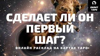 4 КОРОЛЯ: СДЕЛАЕТ ЛИ ОН ПЕРВЫЙ ШАГ? онлайн расклад на картах Таро |Лилит Таро| Гадание 4 короля